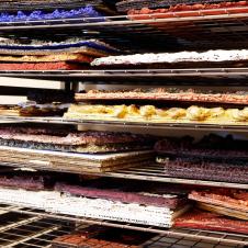 Eri värisiä paperimassasta tehtyjä kehyksiä lappeellaan ritilöiden päällä useassa kerroksessa.