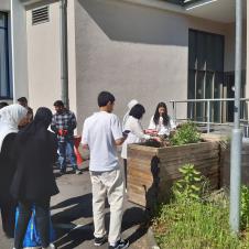 Opiskelijoita pihalla.