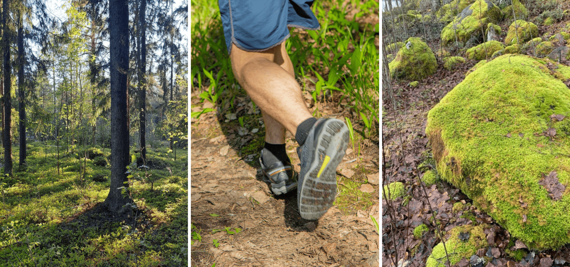 Metsää, juoksija ja sammaleinen kivi