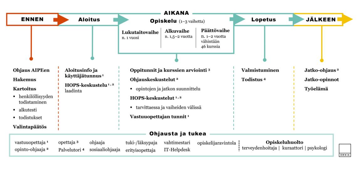 Aikuisten perusopetuksen opiskelijan palvelupolku kuvattuna opintoihin hakeutumisesta valmistumiseen. Kuvio on avattu tarkemmin alla kohdassa "Tietoa aikuisten perusopetuksen palvelupolusta".