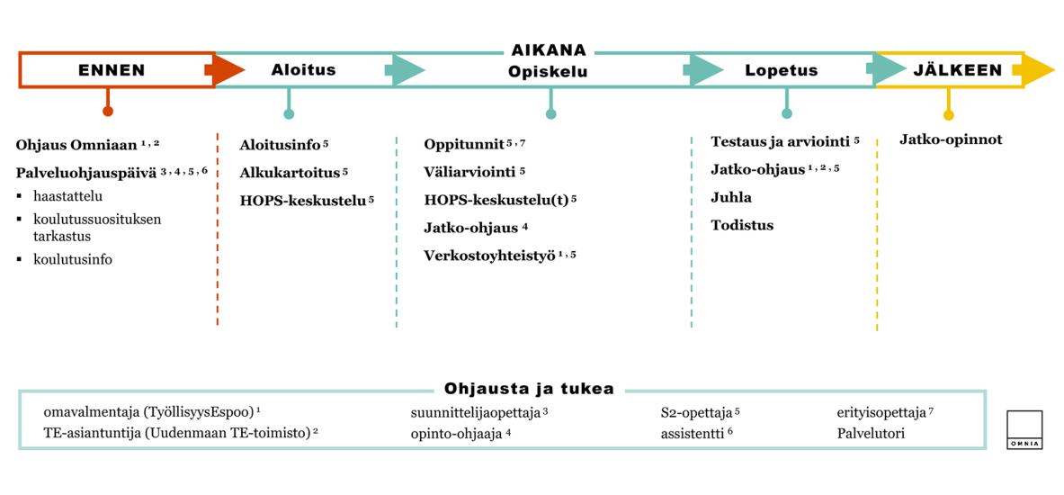 Luku- ja kirjoitustaidon koulutuksen polku kuvattuna hakeutumisesta pajajakson loppuun. Kuvio on avattu tarkemmin alla kohdassa "Tietoa luku- ja kirjoitustaidon koulutuksen polusta".